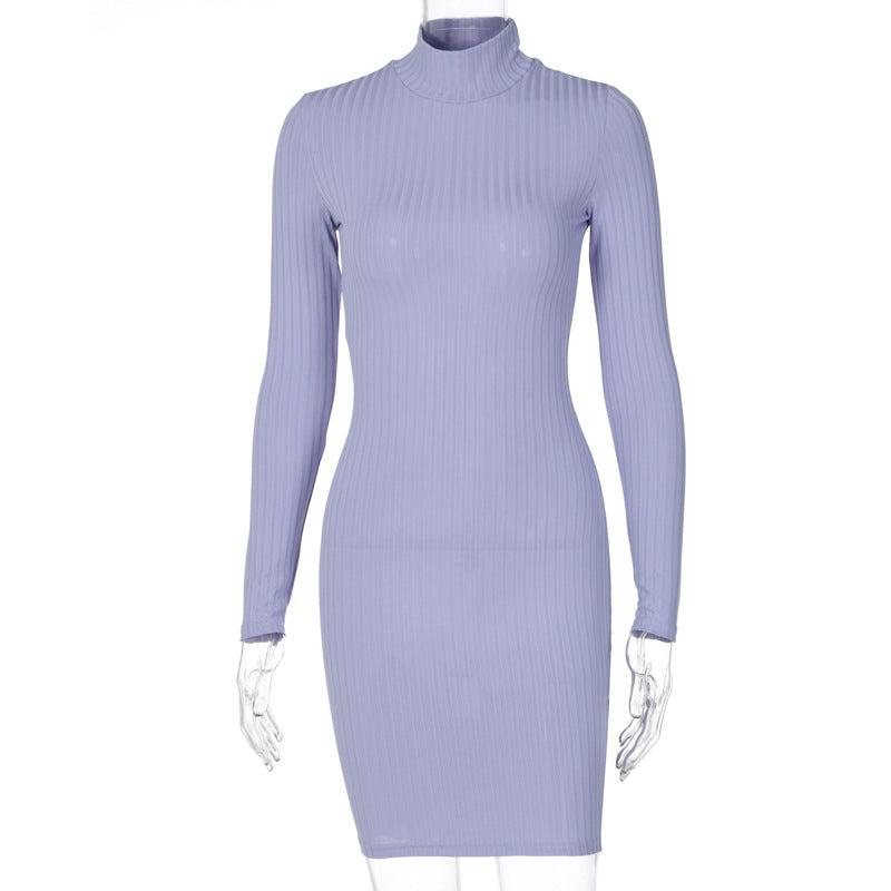 Victoria Ribbed Turtleneck Mini Dress