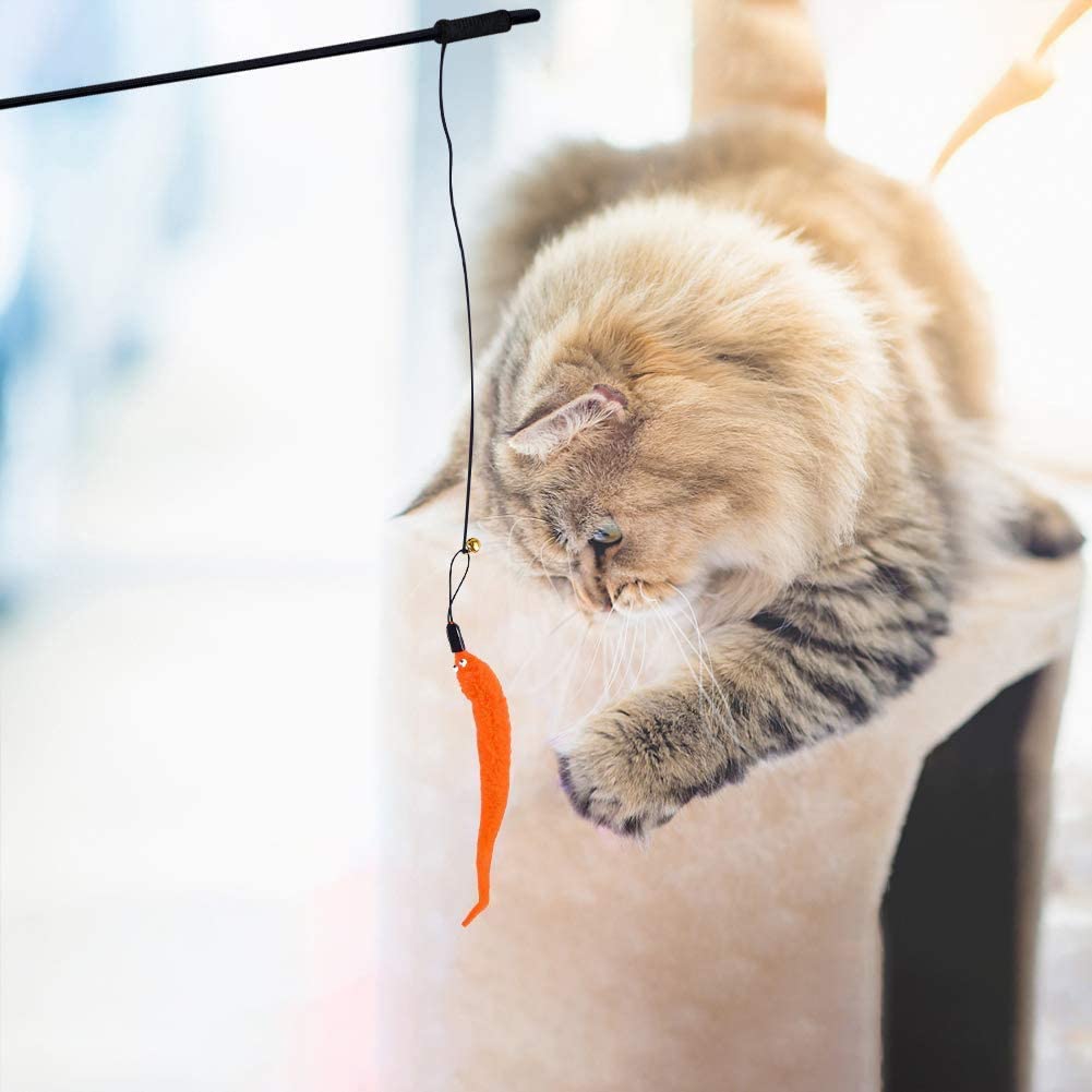 Interactive Feather and Ball Cat Toys