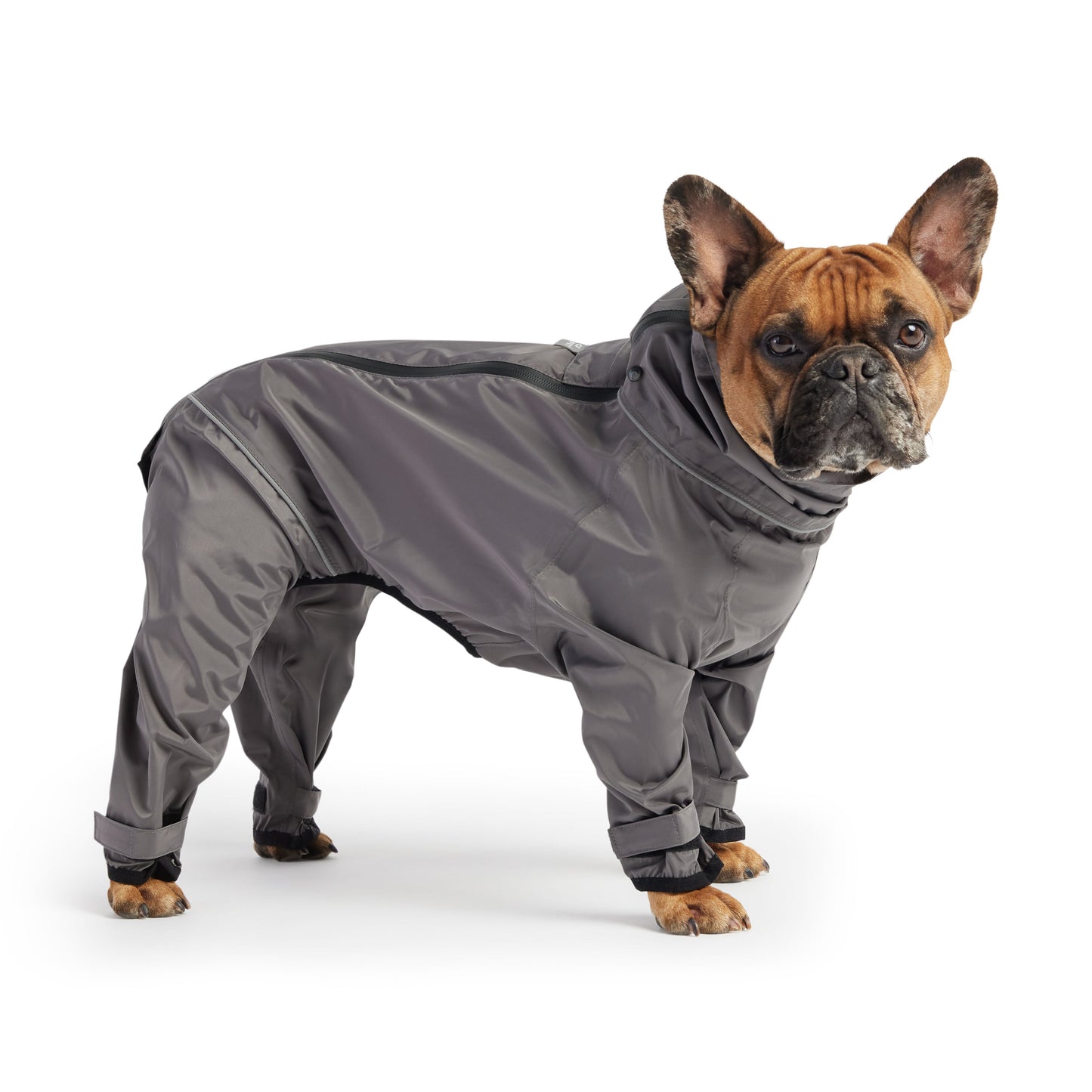 Dog Raincoat - Charcoal