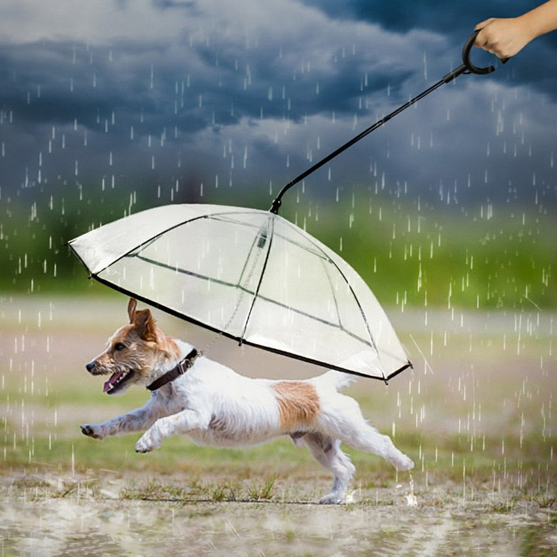 Pet Transparent Umbrella