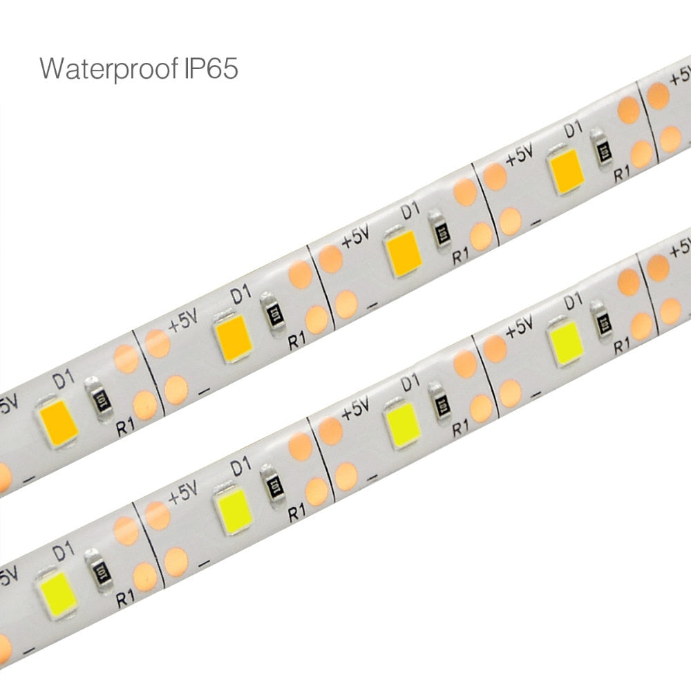 LED Motion Sensor Strip Lights