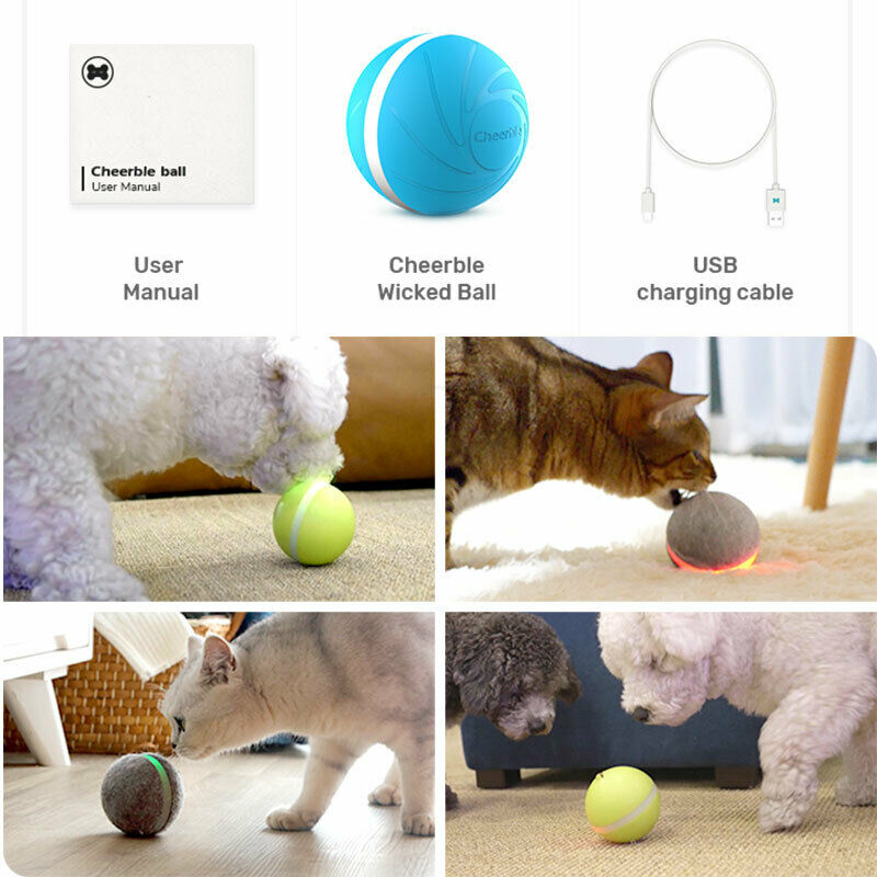 LED Pet Dog Catch Ball