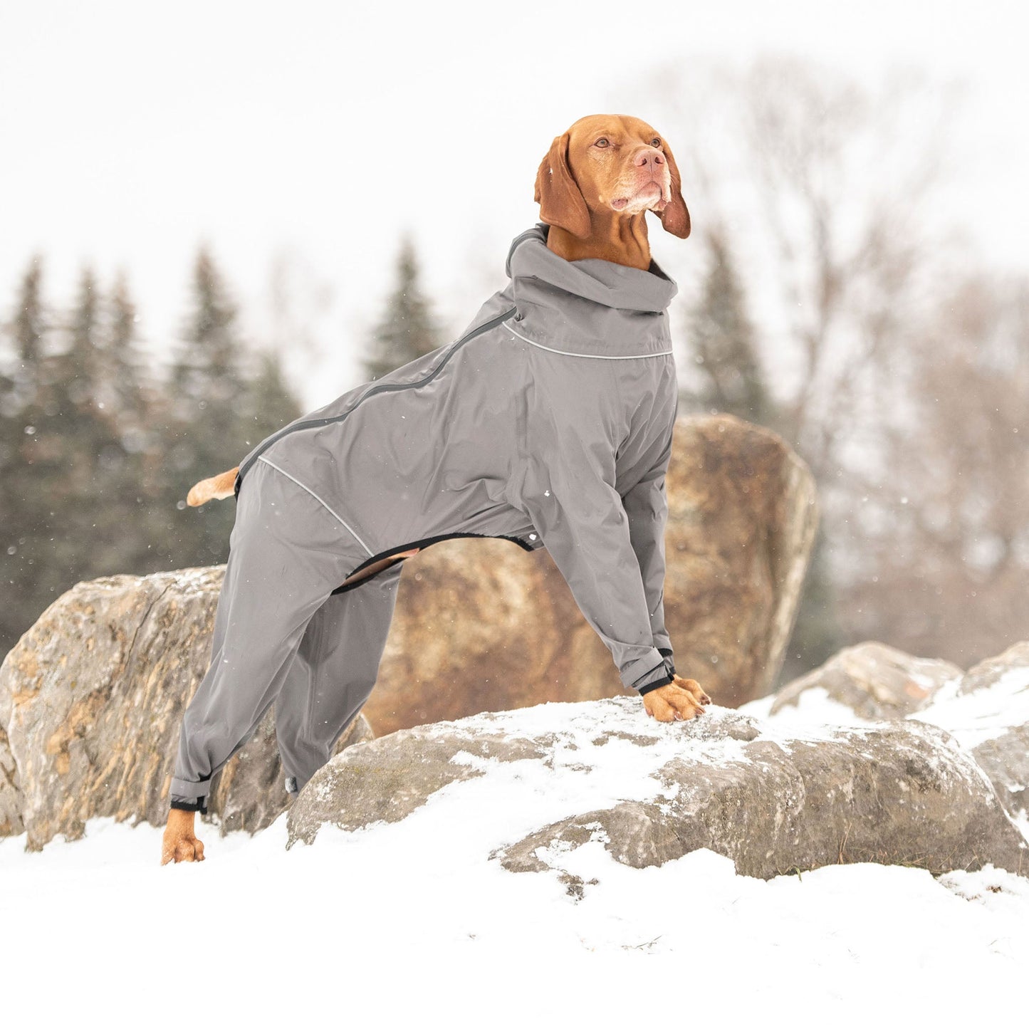 Dog Raincoat - Charcoal