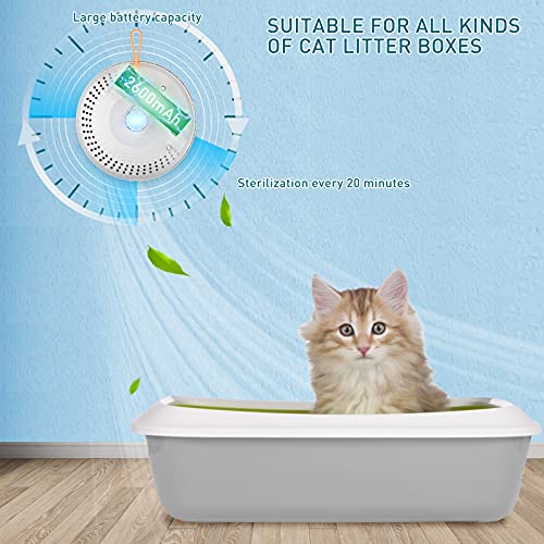 Smart Odor Eliminator for Litter Box